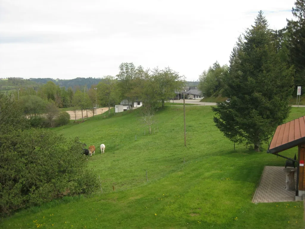 Zeltplatz mit Blick in die Natur