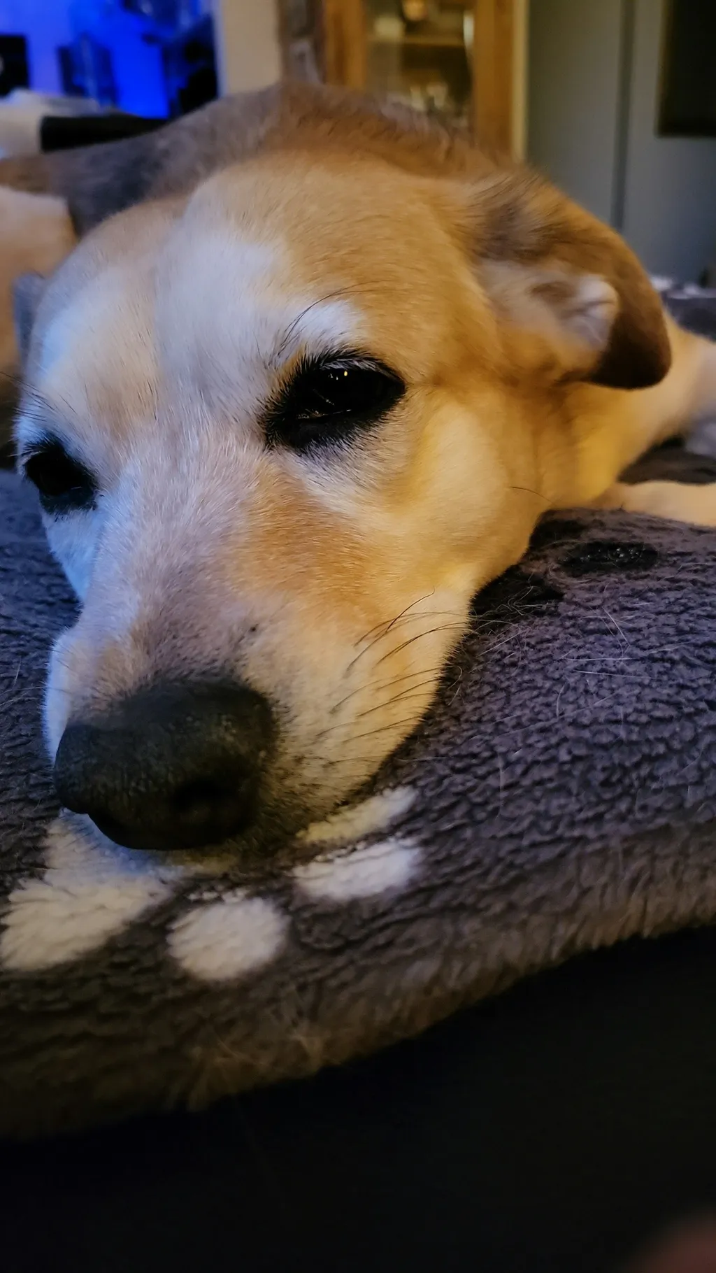 Profilbild von Olaf