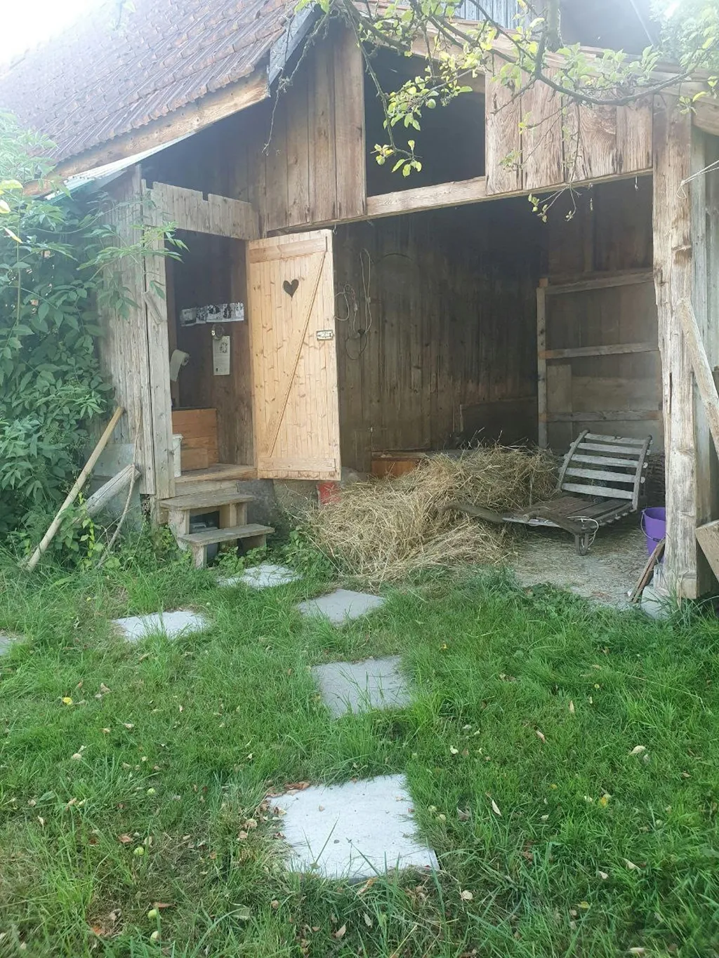 Augenweide