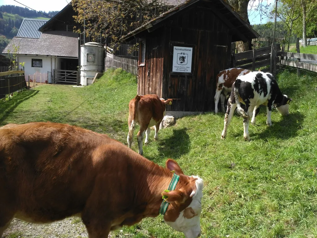 Aussichtspunkt Die 3 Wetterkreuze