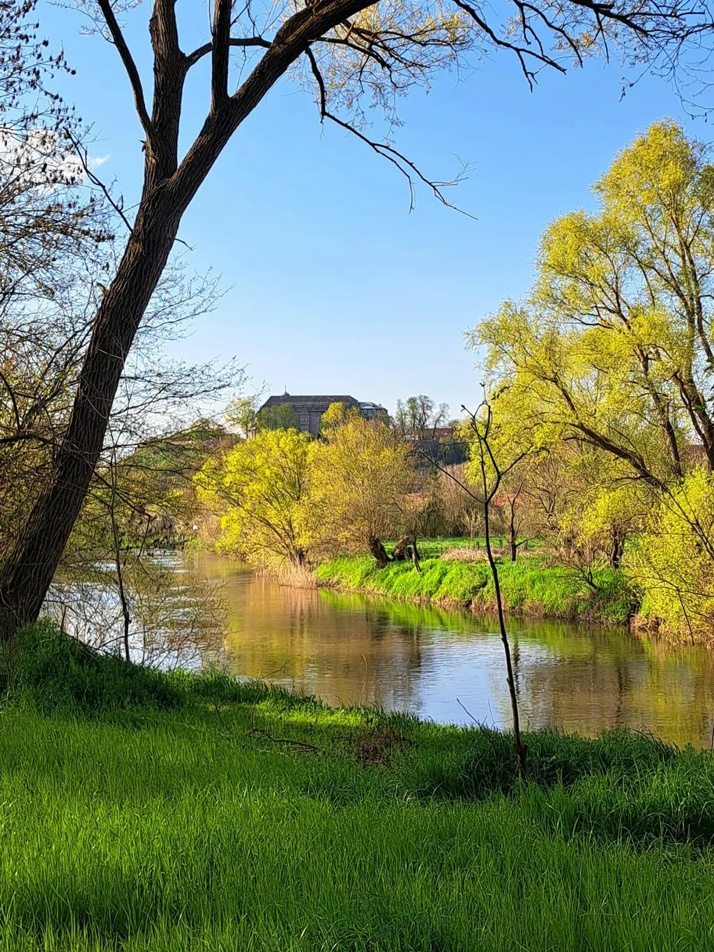 Womo Stellplatz unter den Nussbäumen