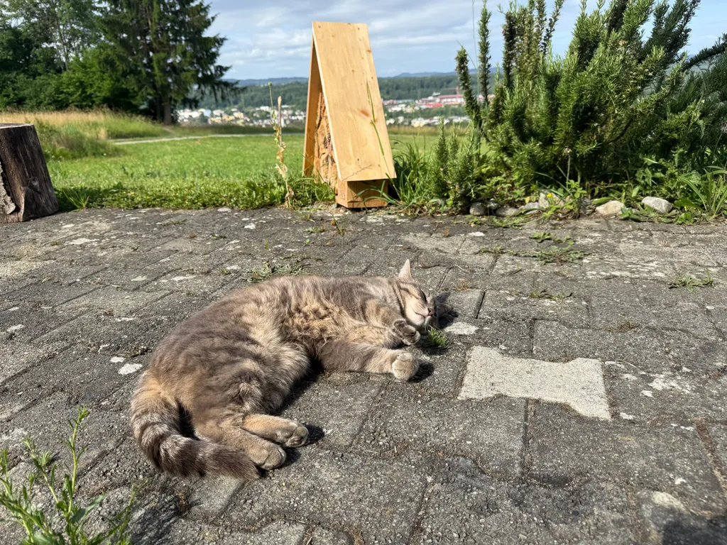 Bild von Esther für den Spot 223