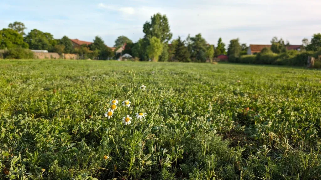 Große Wiese am Hof in Seenähe