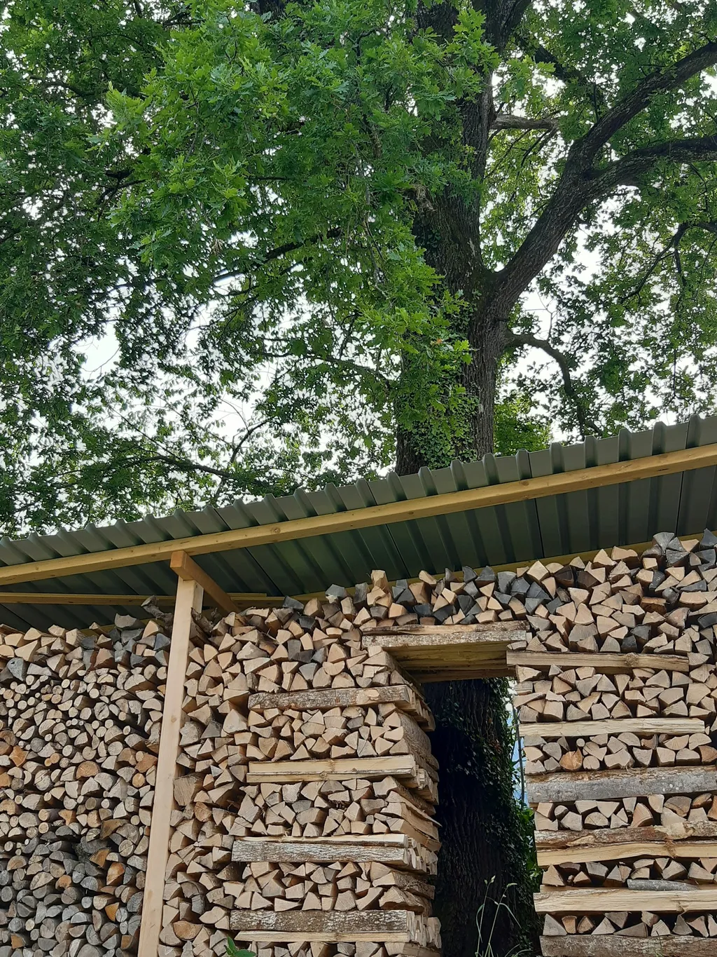 Aus-Zeit / Kraft tanken