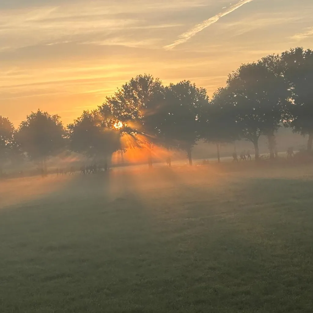 Profilbild von Fabian