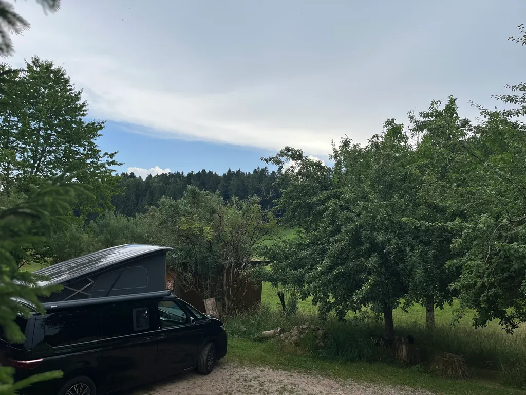 Bild von Evelyne für den Spot 4915