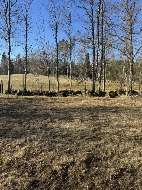 Privater Stellplatz in der Natur – Ruhe 🇸🇪
