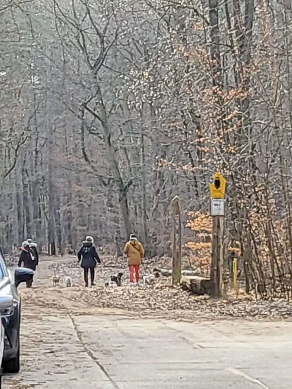 Waldübernachtung am Rande Potsdams