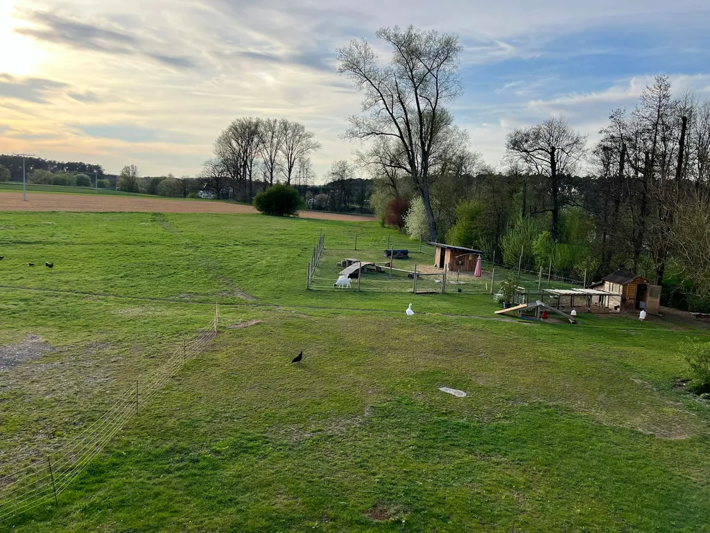 Auf der Koppel – Nbg und Erlangen