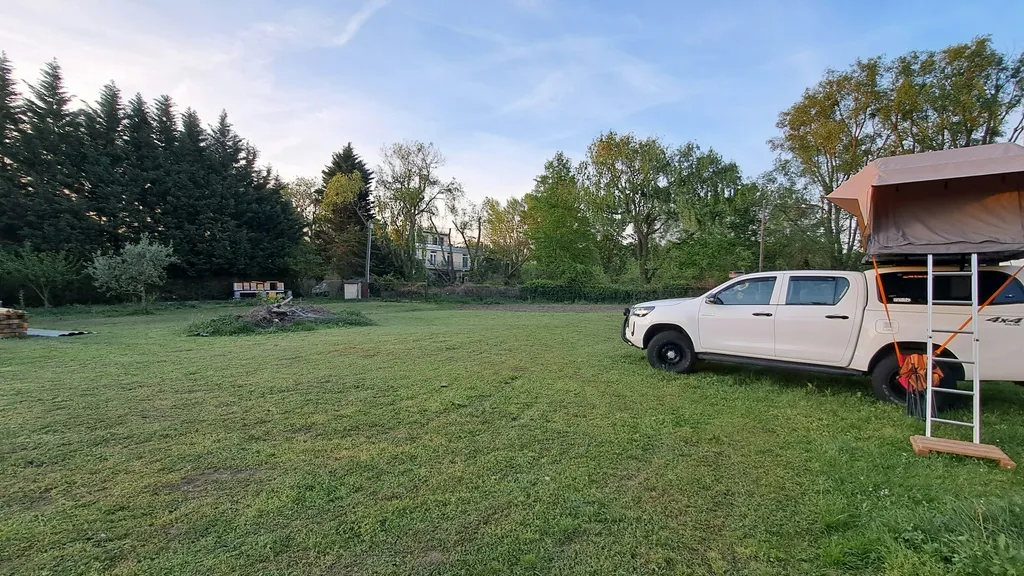 Natur pur in Wien, bei der Lobau