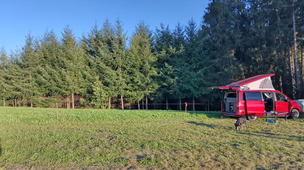 Bild von Monica für den Spot 1580