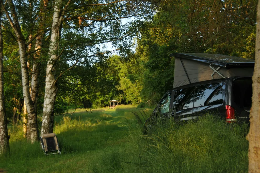 Bienengesumme in Alleinlage