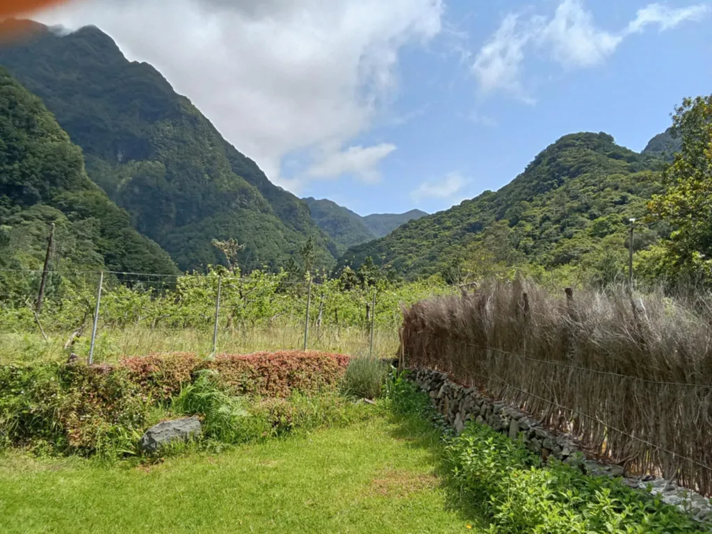 Peaceful Mountain Camping in Madeira
