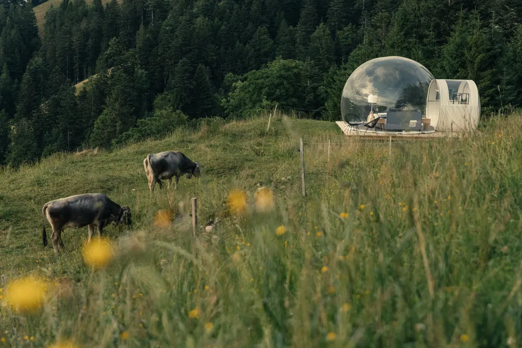 Bubble Tent - Mitten im Herzen des Emmentals