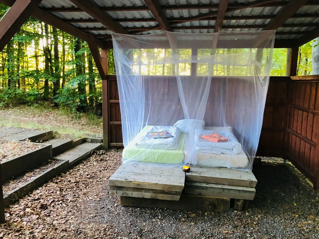 Mondholz-Shelter am Buchenwald