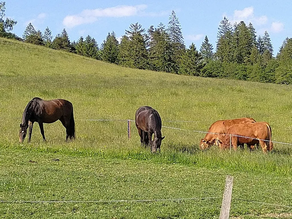 La place de Champs Rougeux