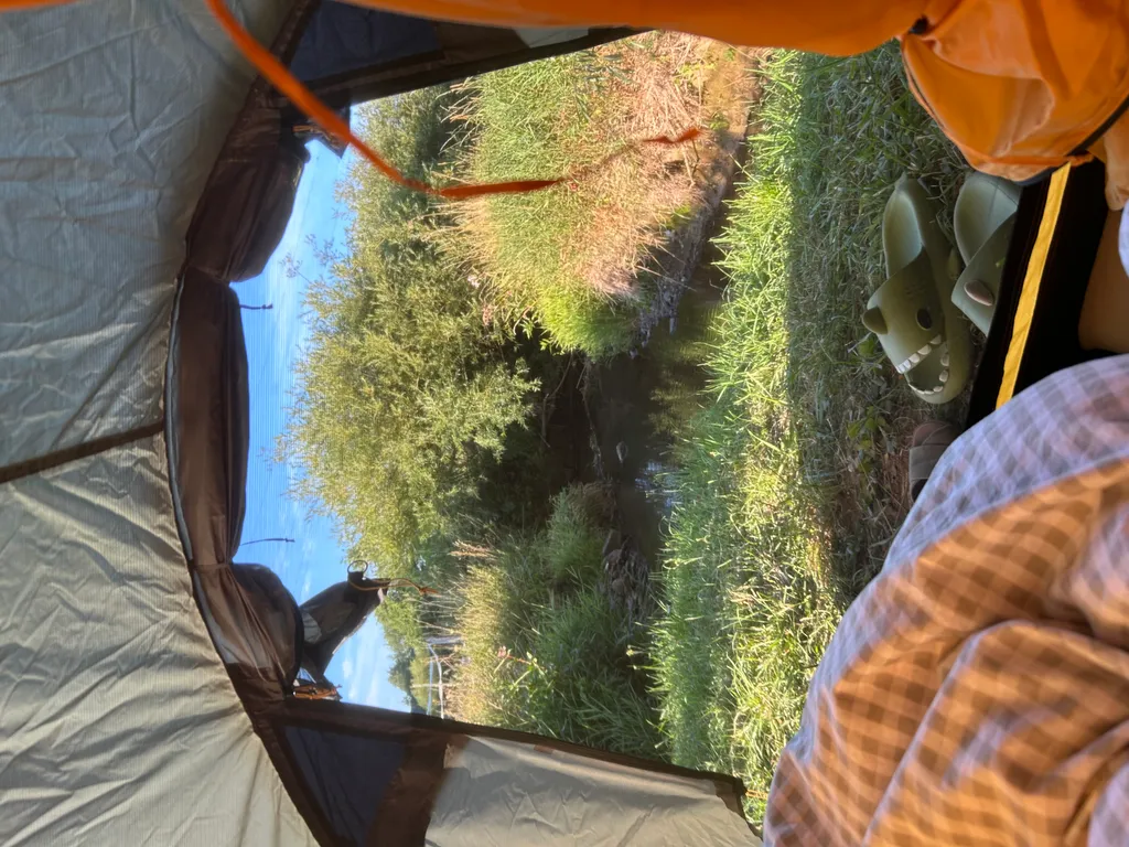 Bild von Sara für den Spot 1513