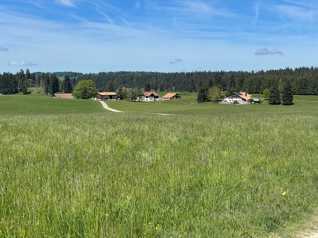 Bild von Sandra für den Spot 875