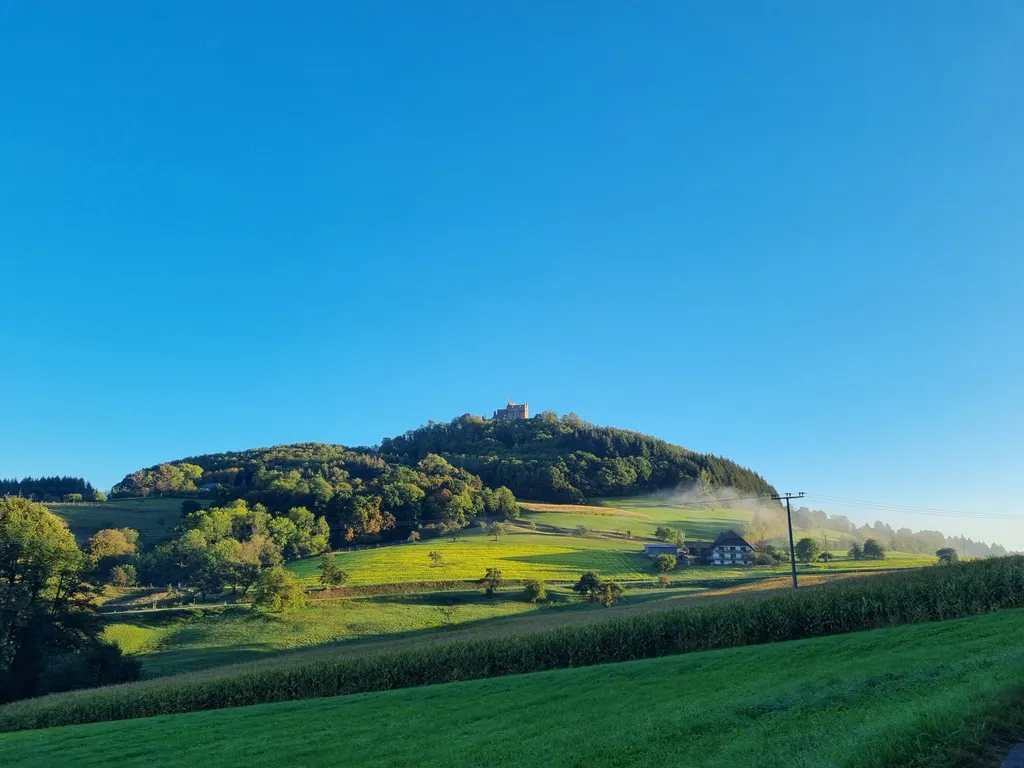 Blick zur Burgruine Geroldseck