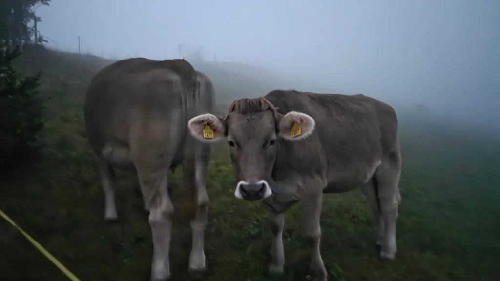 Image by Clark & Karin for spot 4425