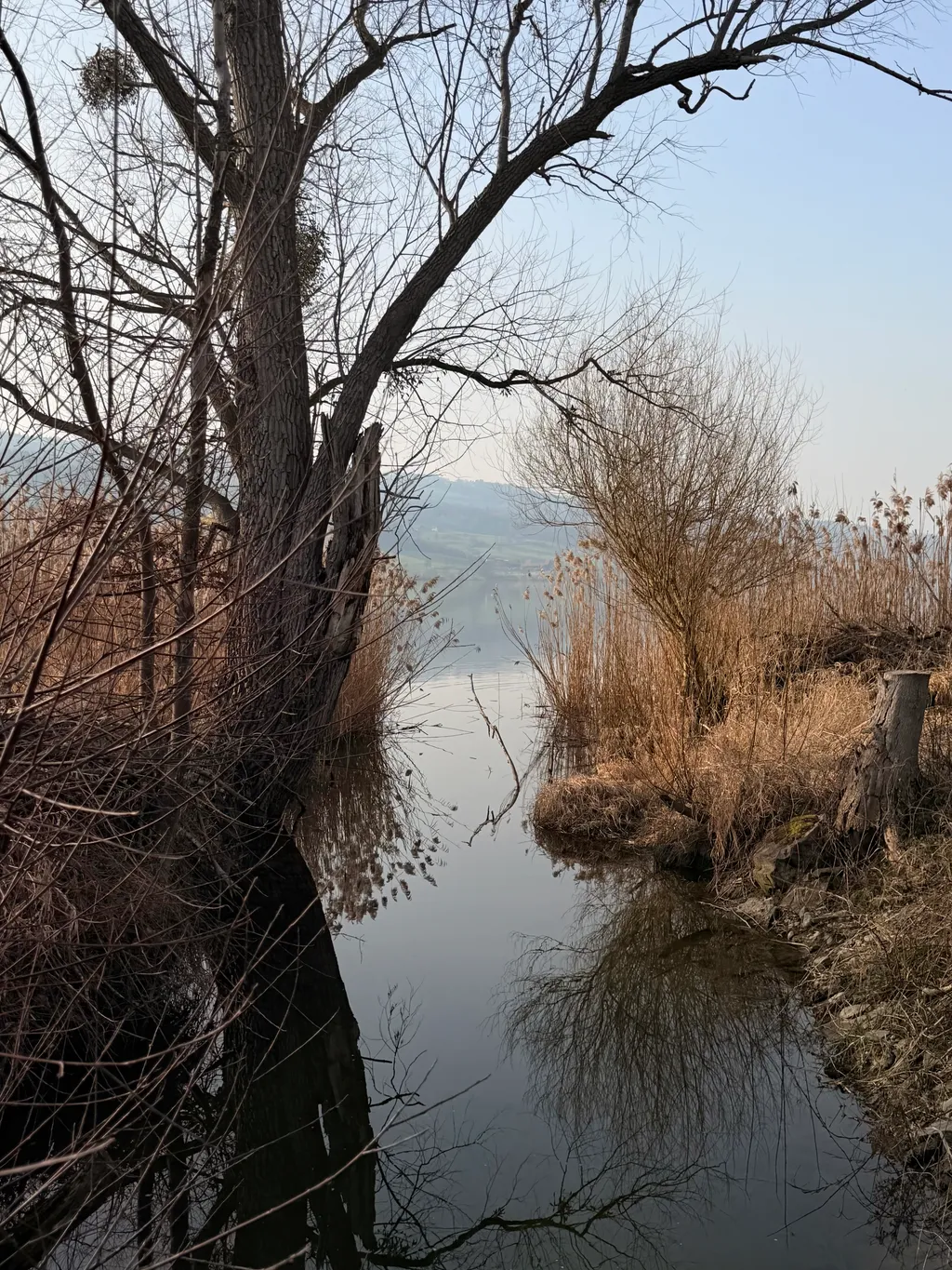 Bild von Sandra für den Spot 249