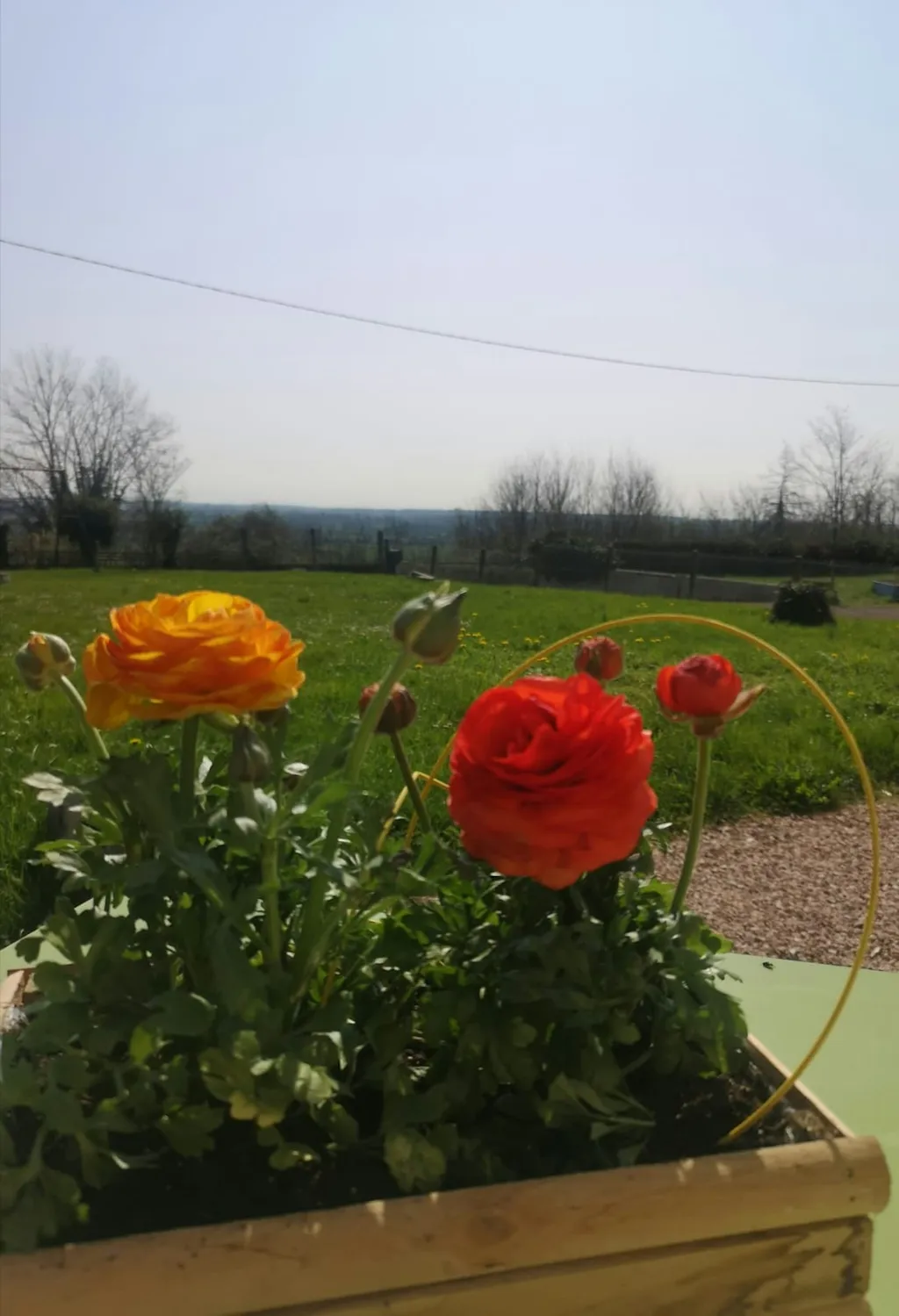 Petit coin de nature Bourbonnaise