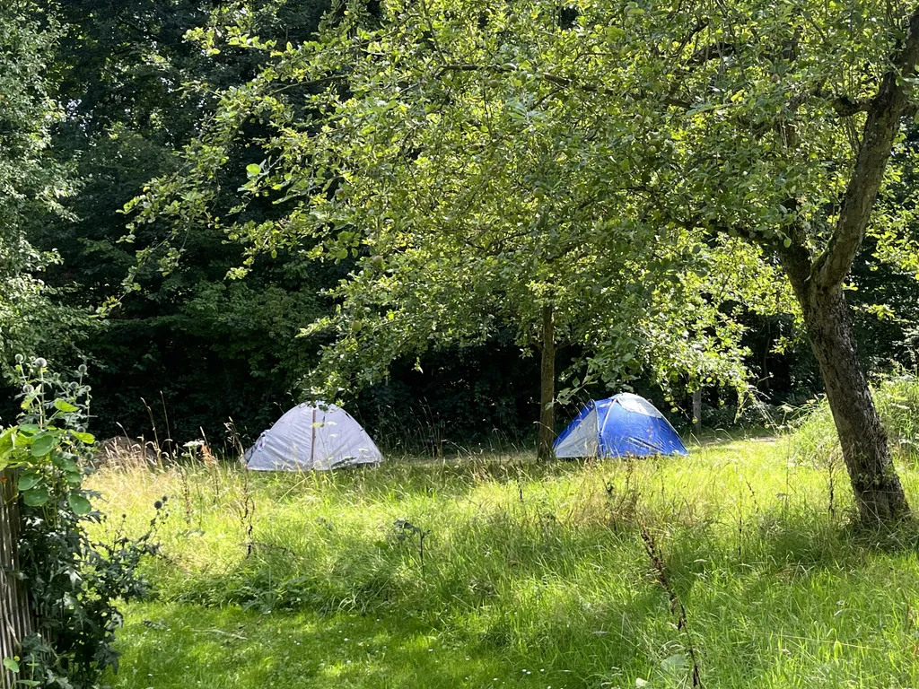 Zelte auf der Obstwiese