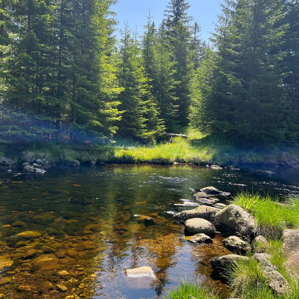 Profilbild von Andrea