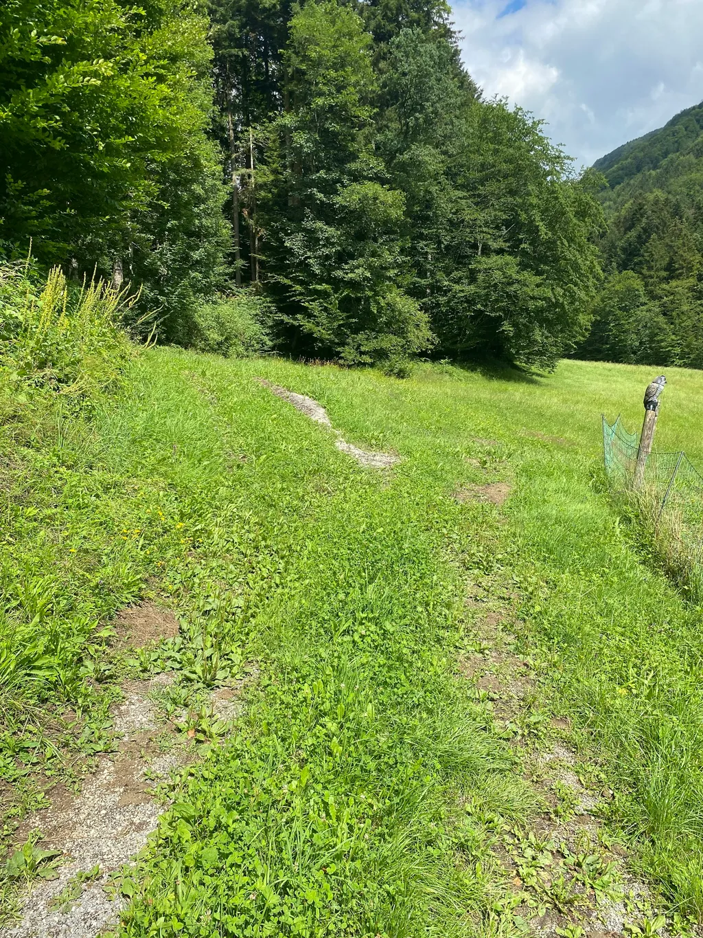 An der Wangauer Ache