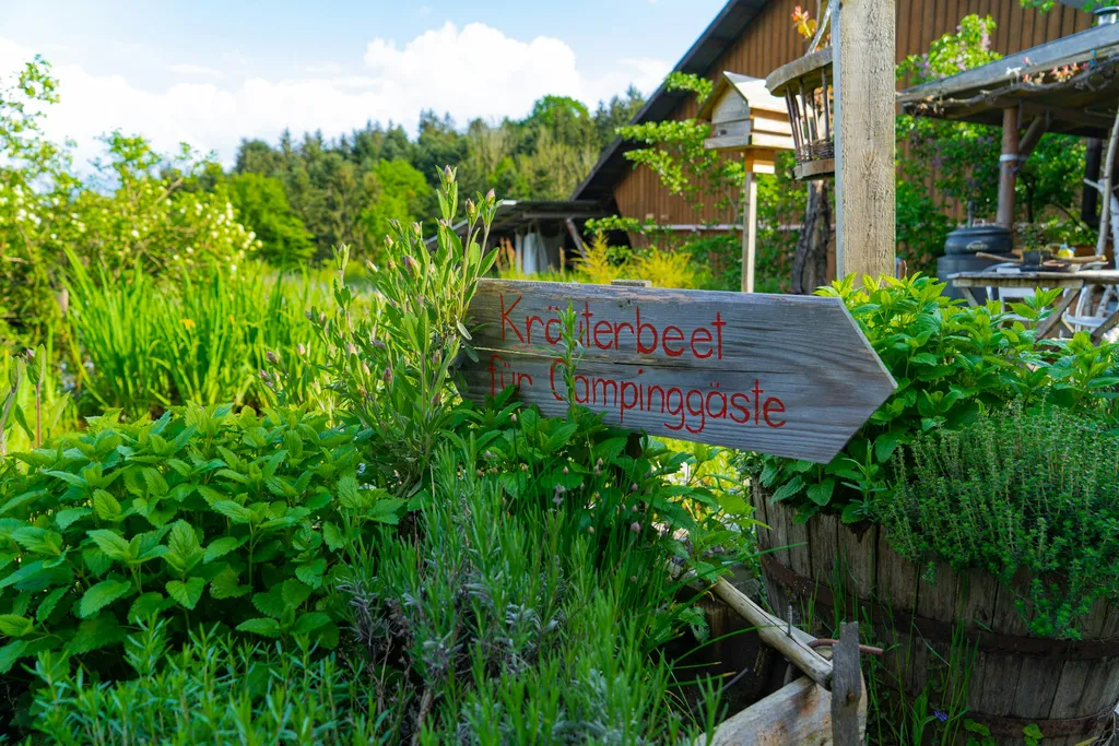 Camping im Bauerngarten