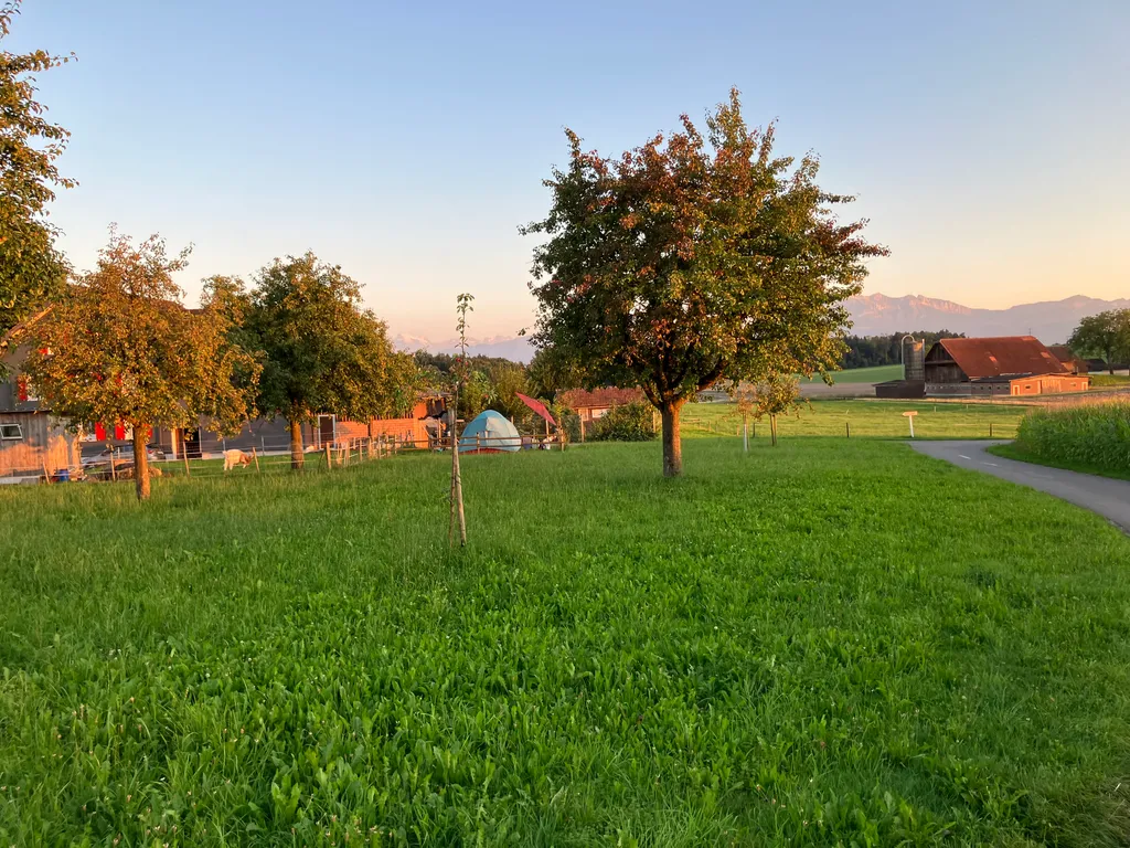 Bild von Michi für den Spot 197