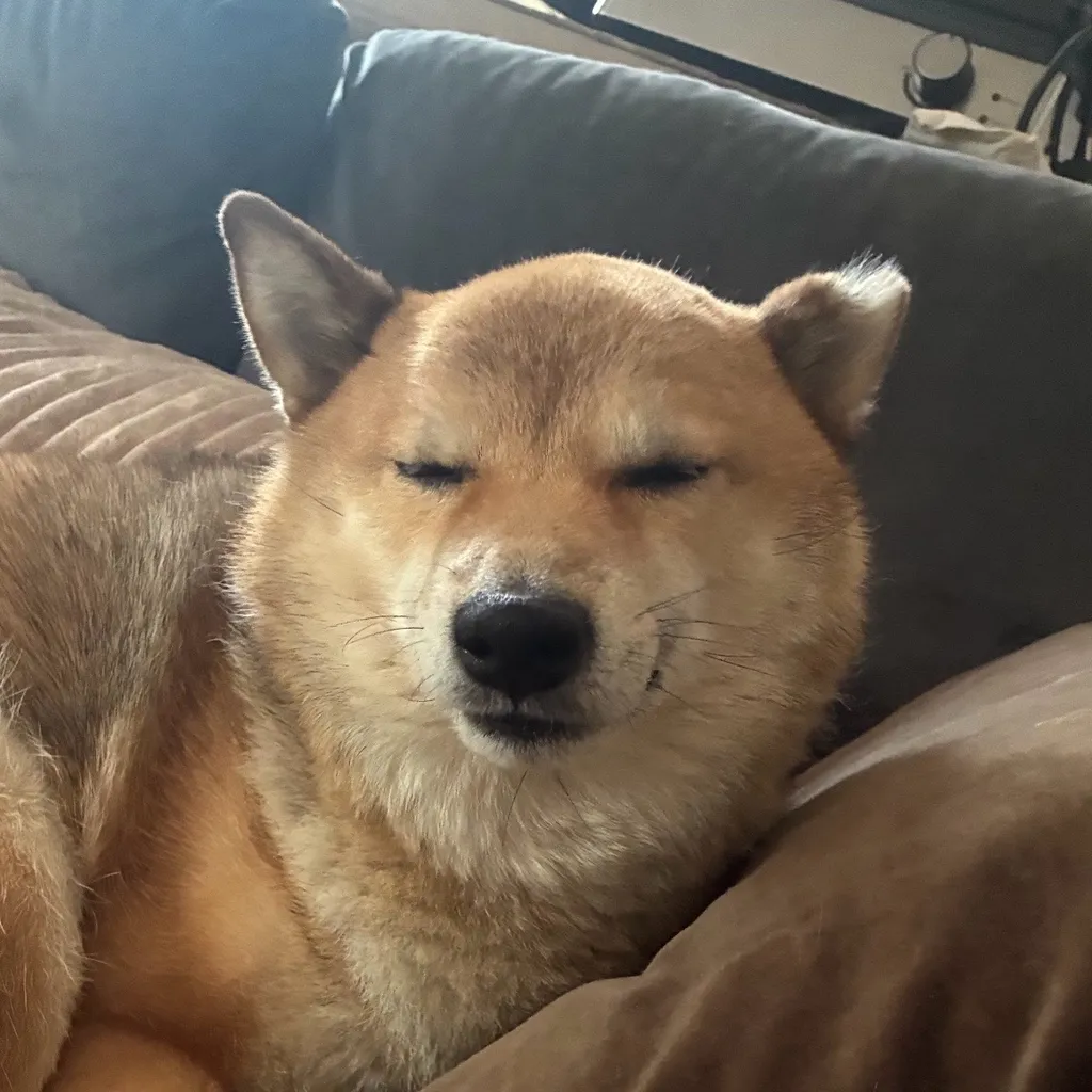 Profilbild von Felix