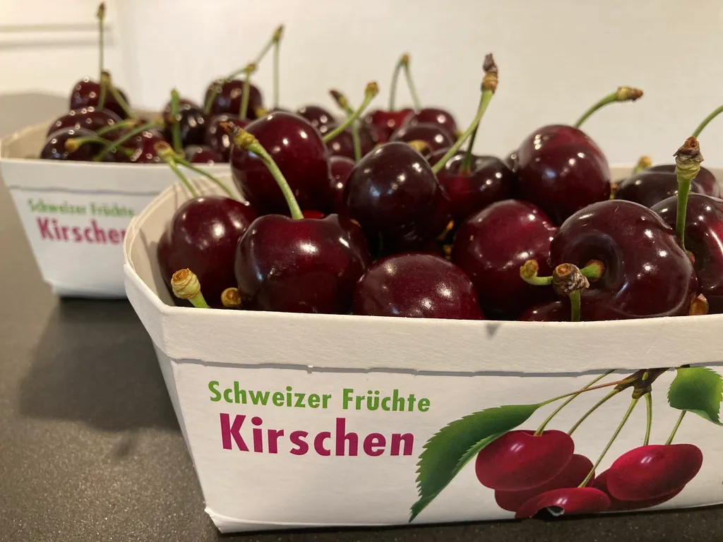 Freie Sicht auf Apfel- und Kirschbaumplantage