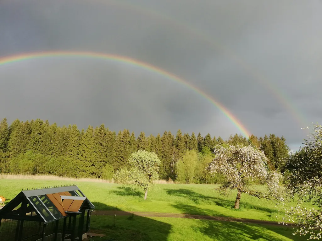 Zwischen Obstbäumen mit Waldblick
