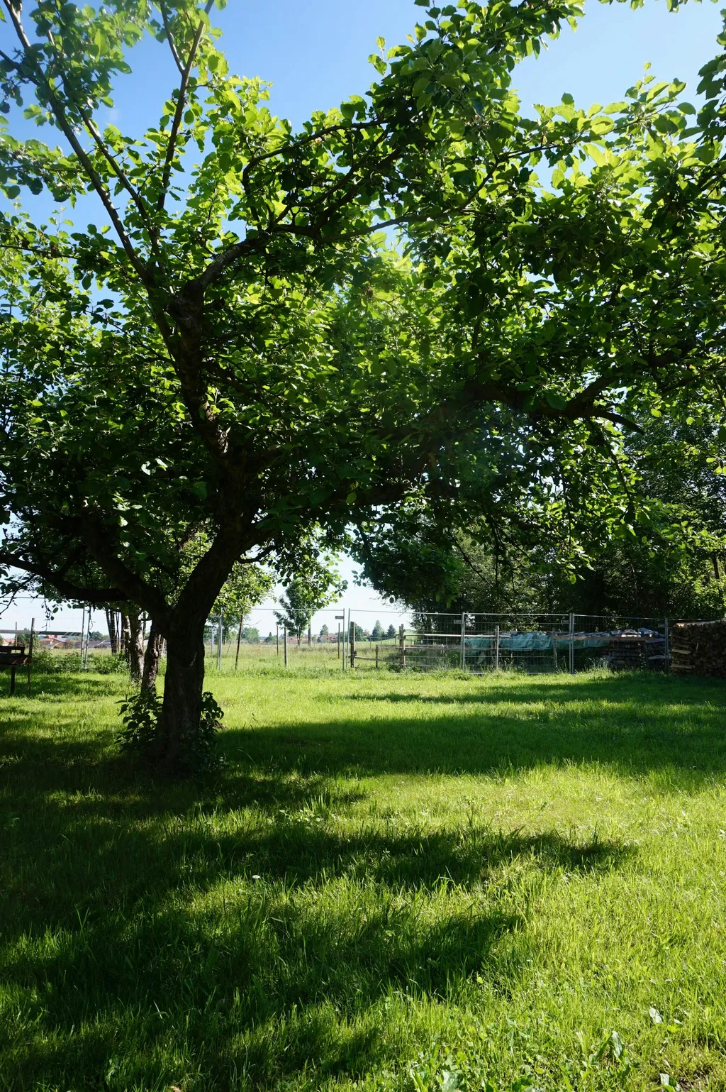 Schönes Plätzchen neben Biohof
