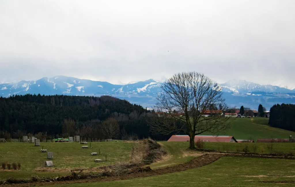 Naturidyll mit Bergblick 1