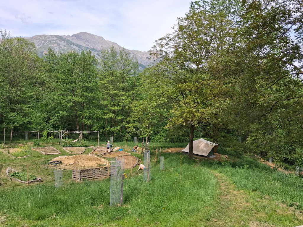 Off-Grid Glamping Tent in a Secluded Forest Spot