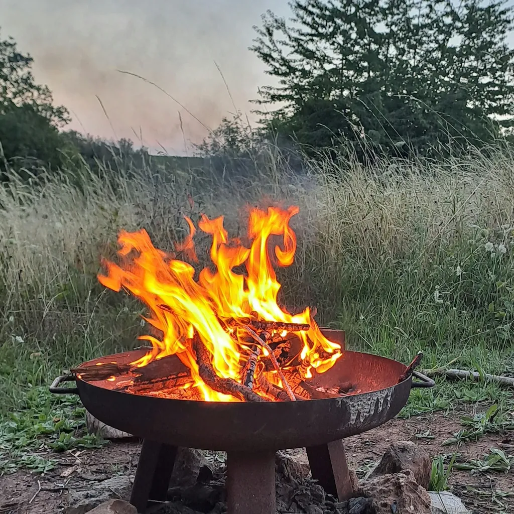 Profilbild von Nina Luzia