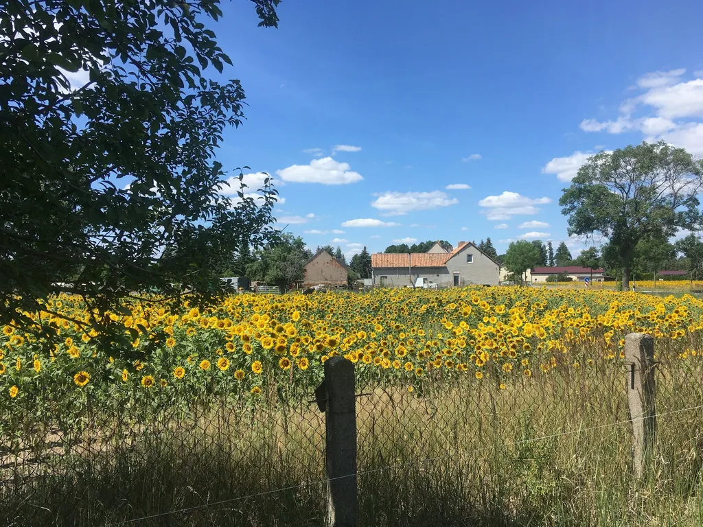 Blick zum Hof hinüber