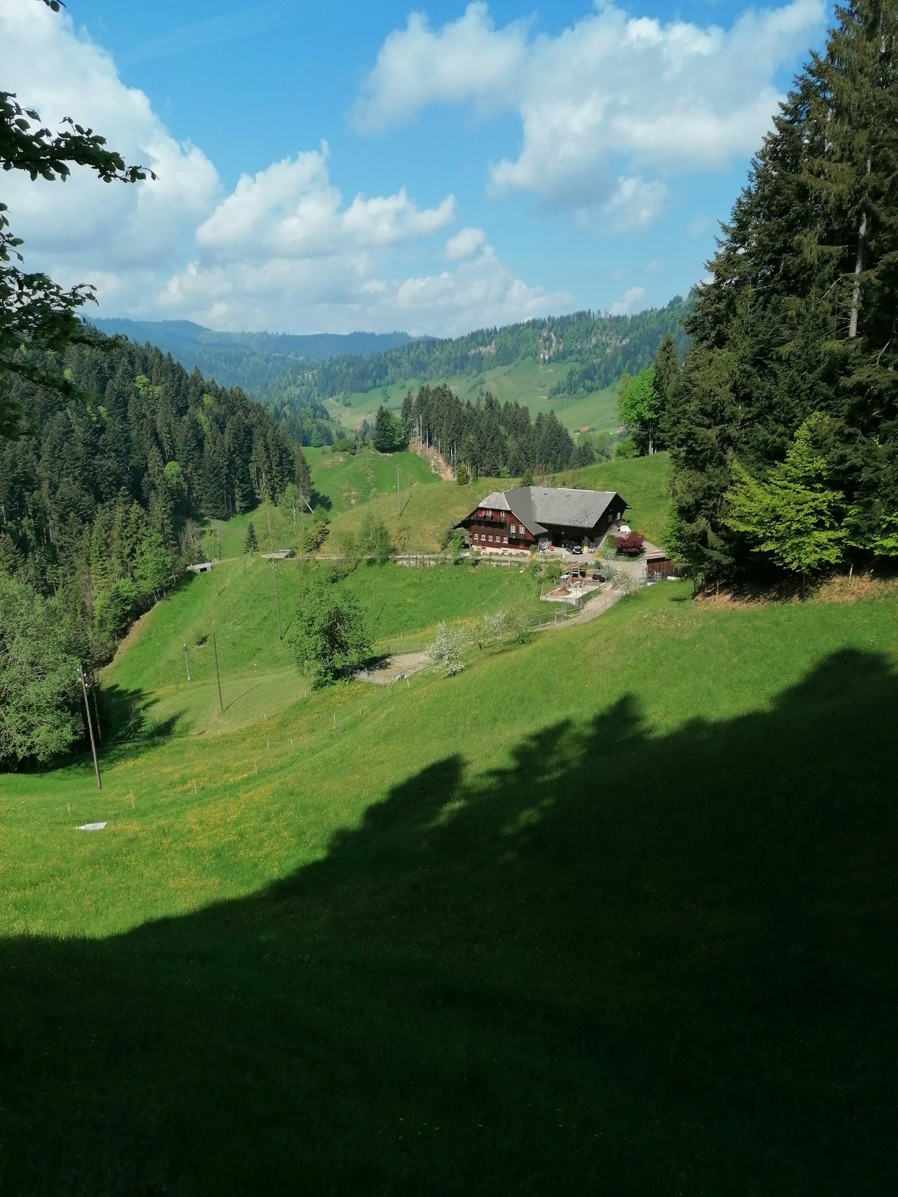Natur pur, mit Angebot Ponyreiten