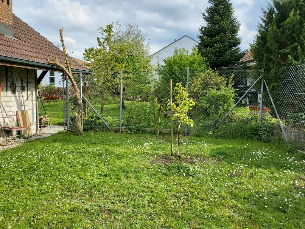 Schrittis Nomady Camp