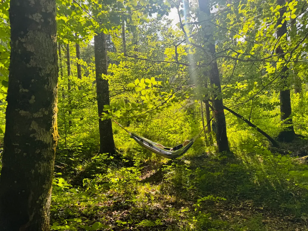 Almwandern & Relaxen