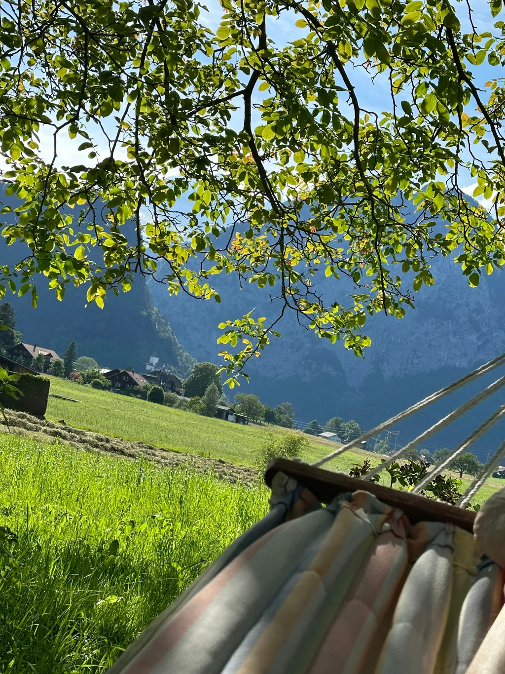 SpringCottage – unterm Walnussbaum