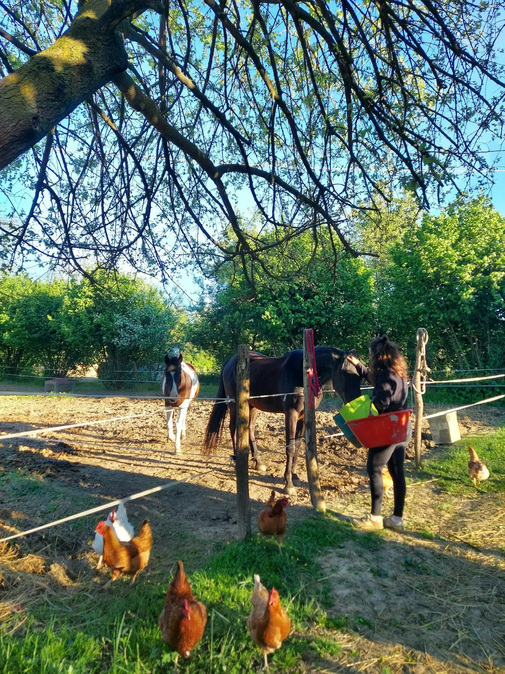 Camp al Pom Granin