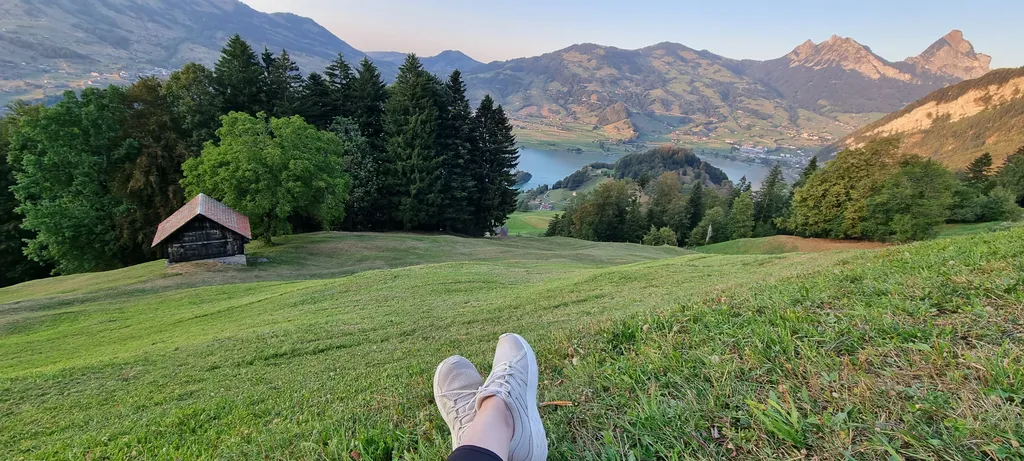 Bild von Delia Violeta für den Spot 394