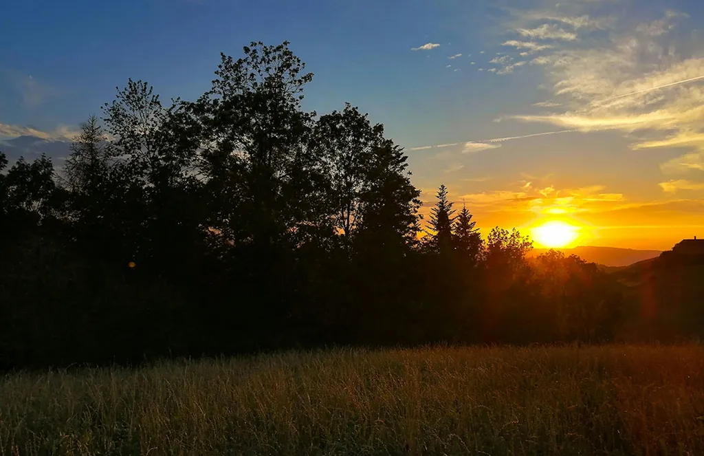 Tipi Zelt und Hängematten