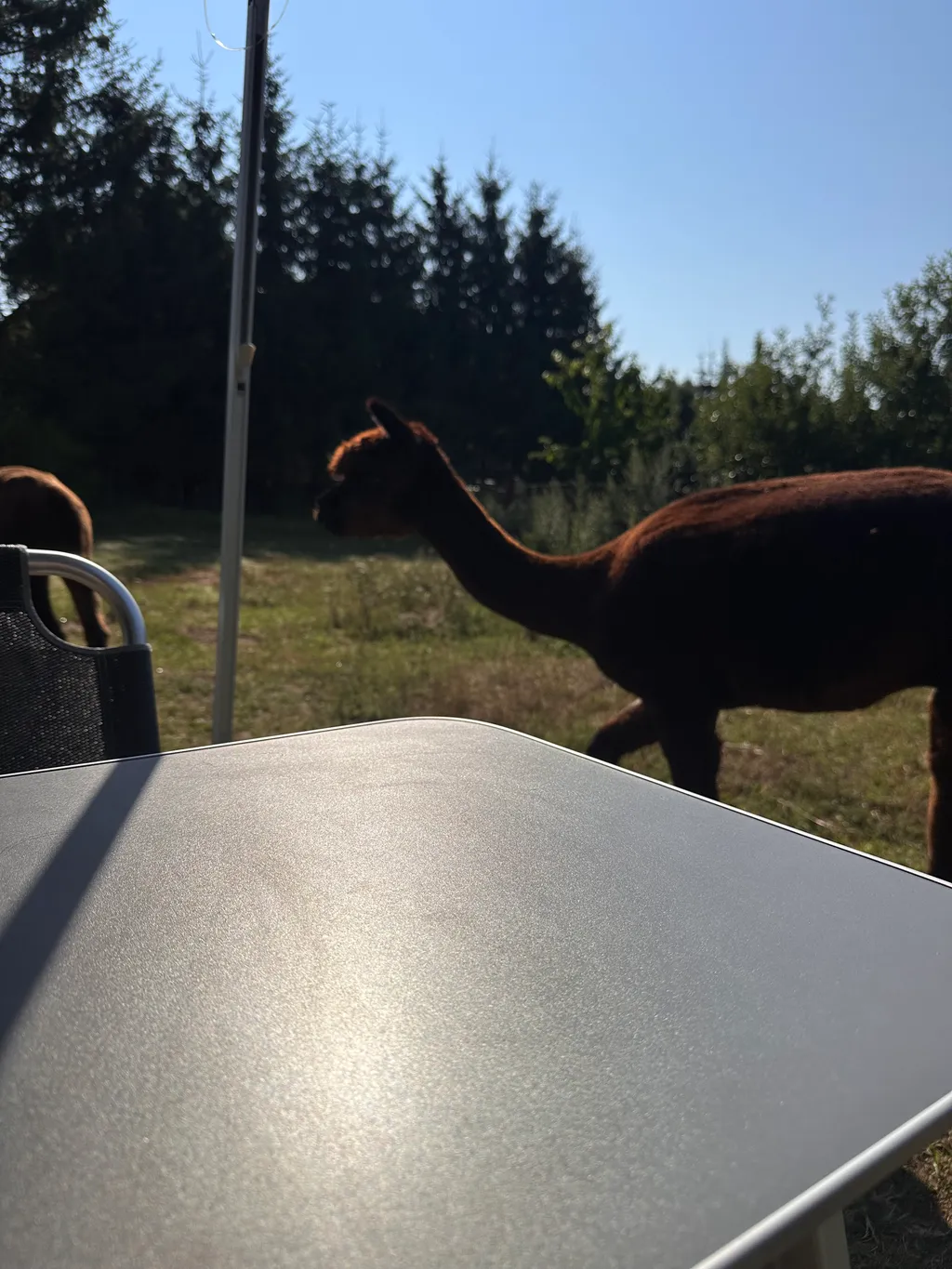 Immagine di Meik & Birthe  per lo spot 4219