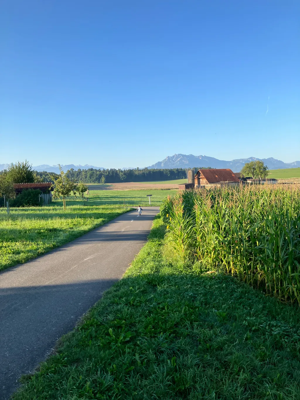 Bild von Michi für den Spot 197