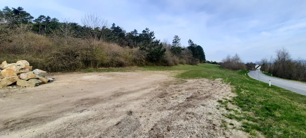 20250409_082109.jpg