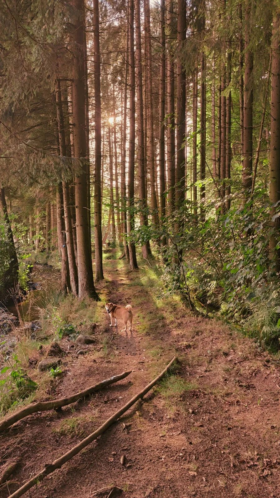 Bild von saufnudel90 für den Spot 3052